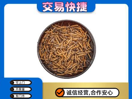郑州中牟县回收散虫草